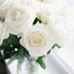 Witte Roos